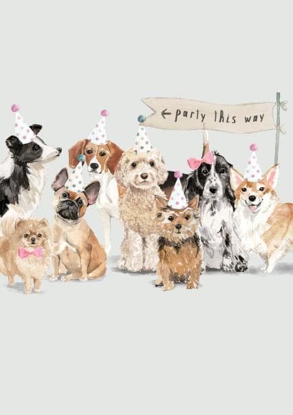 cute, animal birthday card aimed at dog lovers, family