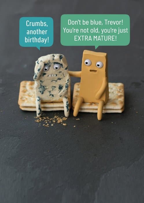 funny, punny, cheesy birthday card aimed at friends, mom, dad, brother, sister, kids, grandparents, grandpa, grandma