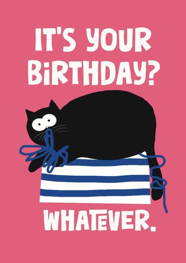 funny, cat birthday card aimed at cat lovers, friends