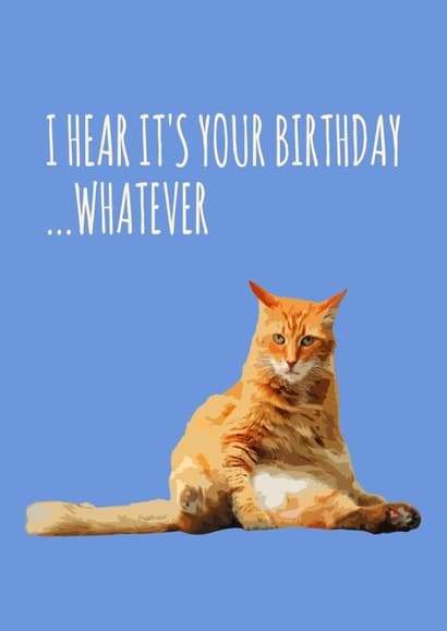 funny, cat birthday card aimed at cat lovers, adults