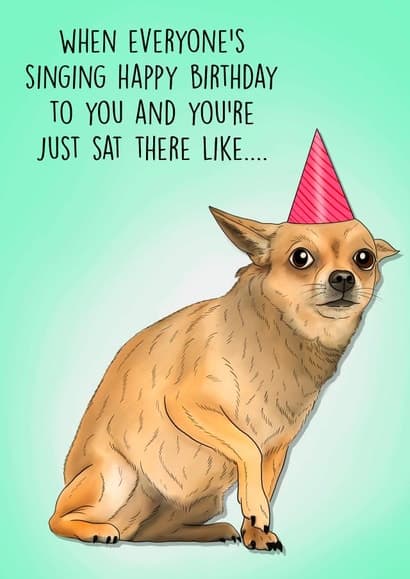 funny, animal birthday card aimed at dog lovers, adults