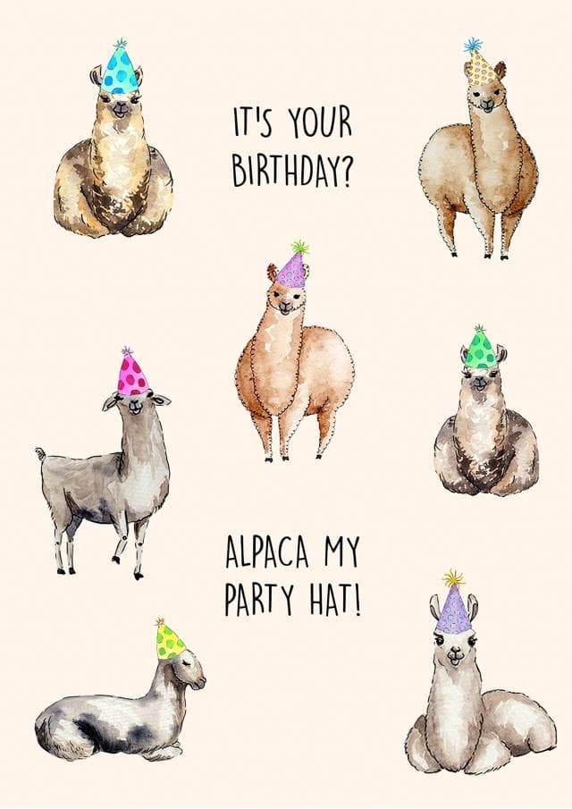 cute, punny birthday card aimed at animal lovers, friends, sister, brother, kid friendly