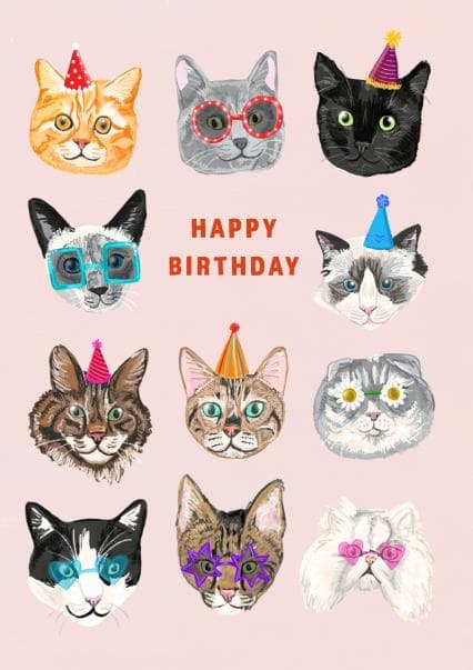 cute, animal birthday card aimed at cat lovers, birthday