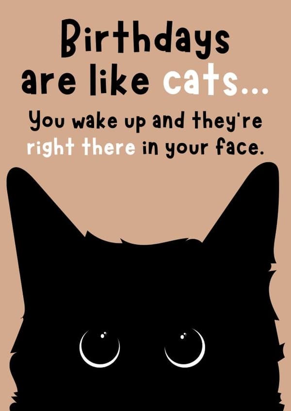 funny, cute birthday card aimed at cat lovers, adults