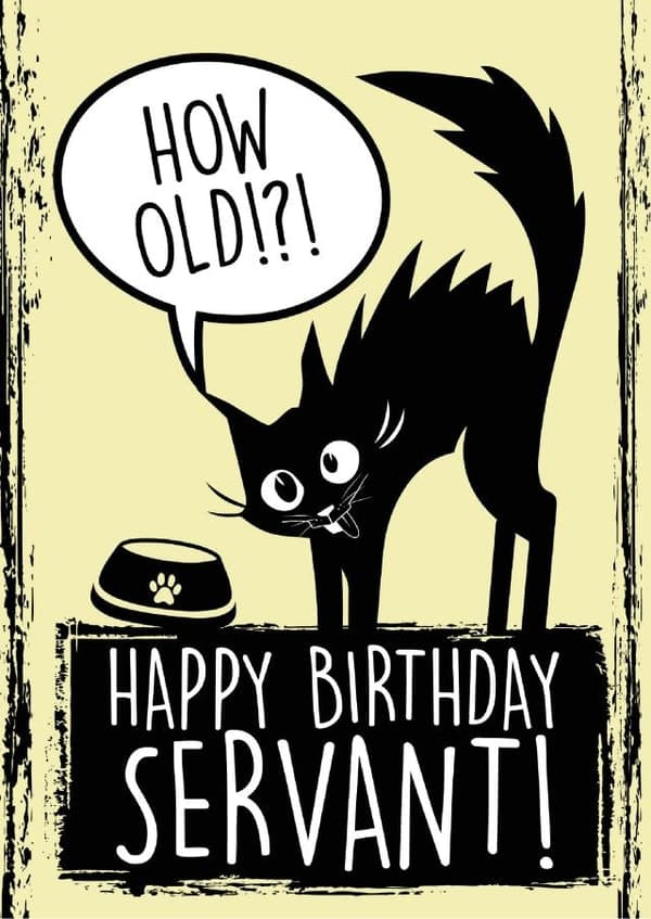 funny, cat birthday card aimed at animal lovers, cat lovers, friends