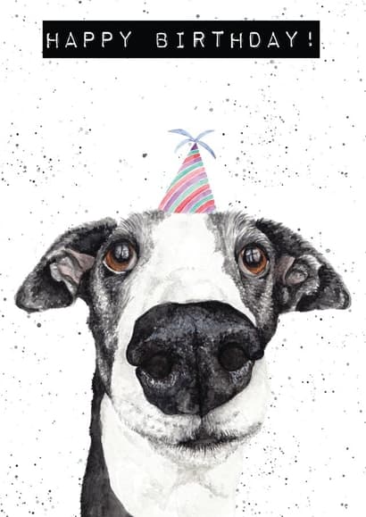 cute, animal birthday card aimed at dog lovers, family, friends