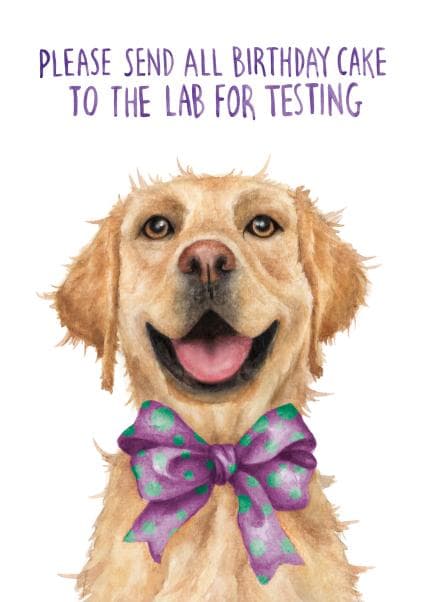 funny, cute birthday card aimed at dog lovers, animal lovers, friends