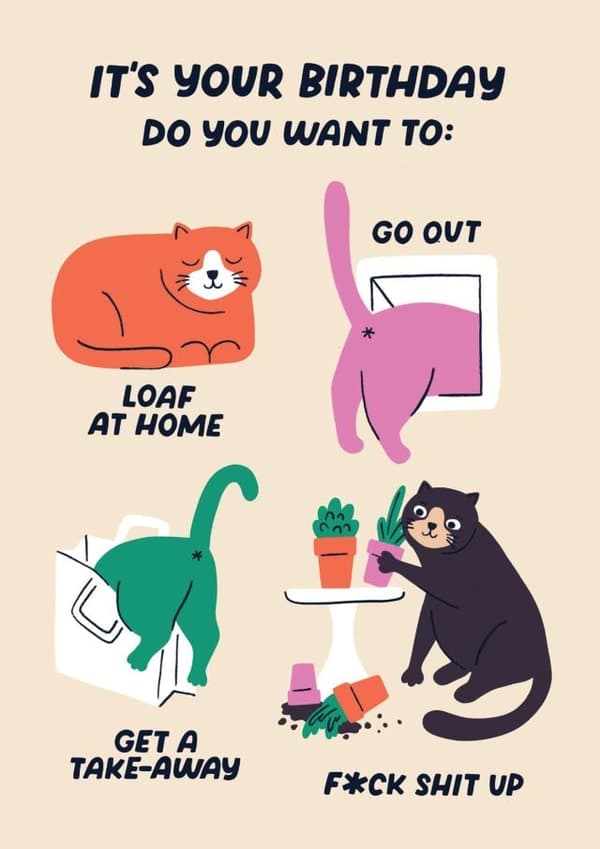 funny, cute birthday card aimed at cat lovers, adults