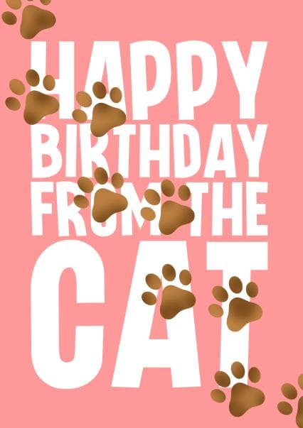 cute, punny birthday card aimed at cat lovers, friends