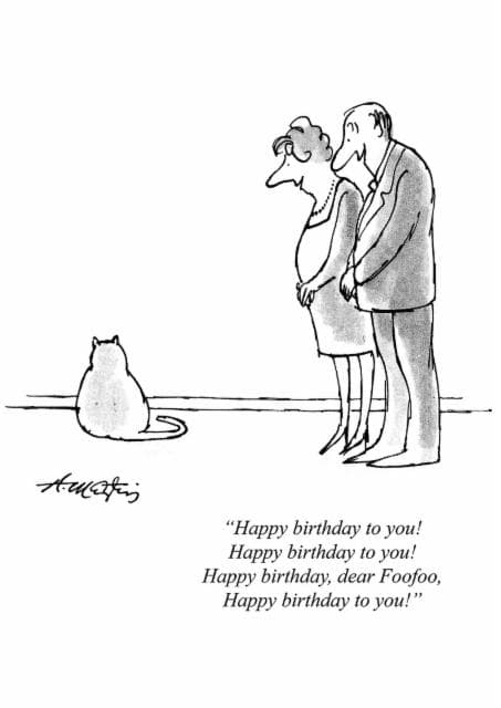 funny, cat birthday card aimed at animal lovers, cat lovers