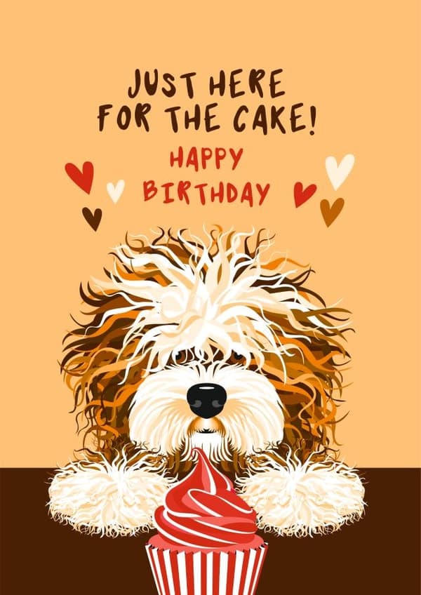 cute, funny, animal birthday card aimed at dog lovers, friends, adults
