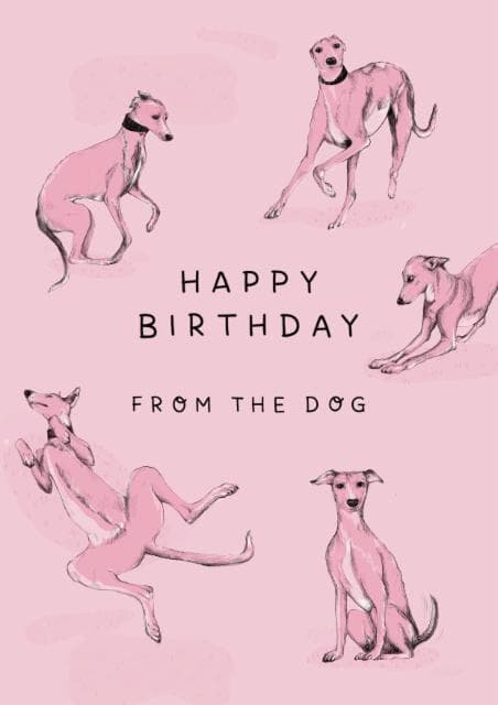 cute, funny birthday card aimed at dog lovers, friends