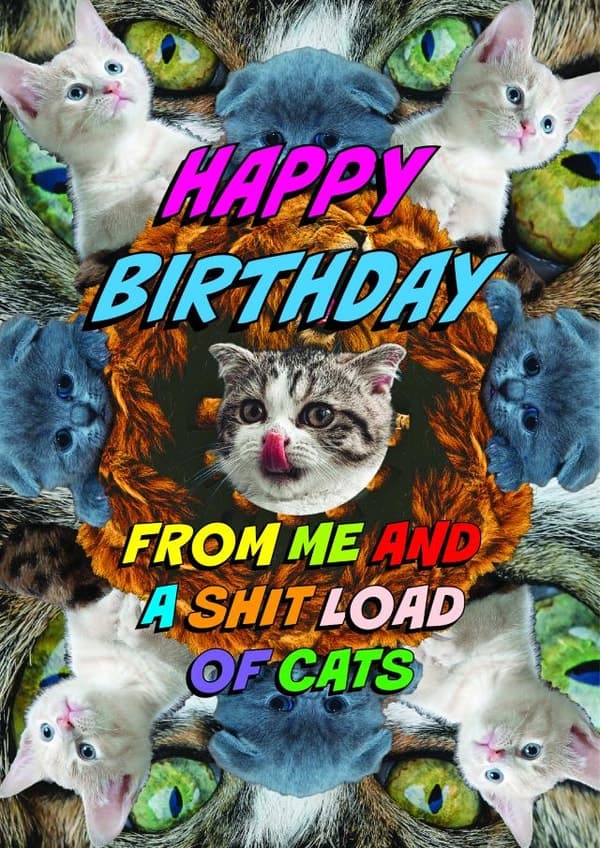 funny, cute birthday card aimed at cat lovers, friends