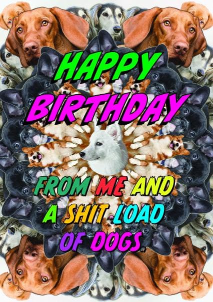 funny, animal birthday card aimed at dog lovers, friends