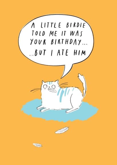 funny, cat birthday card aimed at cat lovers, adult