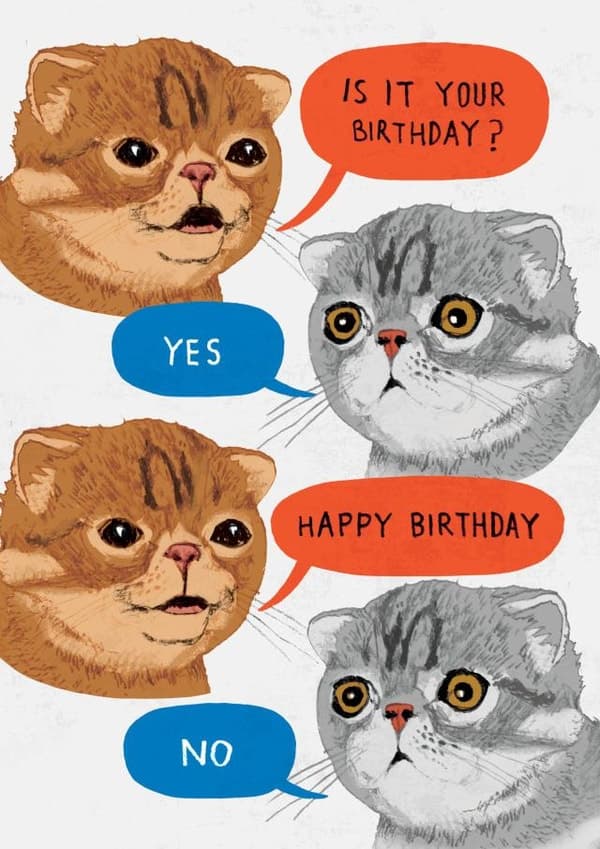 funny, cute birthday card aimed at cat lovers, friends