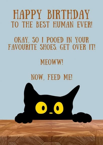 funny, cute birthday card aimed at cat lovers, friends, adults