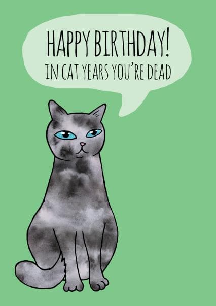 funny, cat birthday card aimed at adult, animal lovers, friends, girlfriend, women