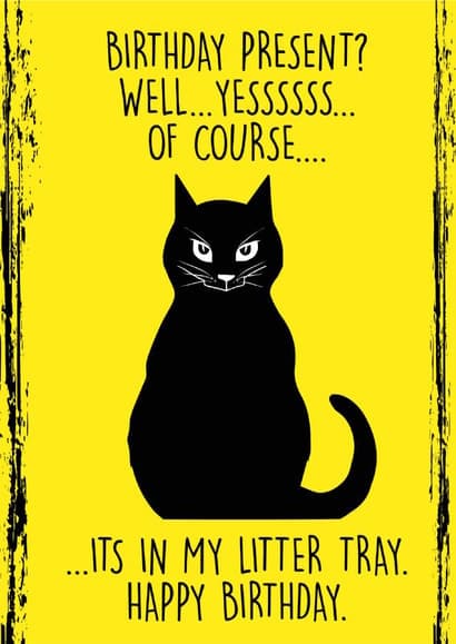funny, cat birthday card aimed at cat lovers, women
