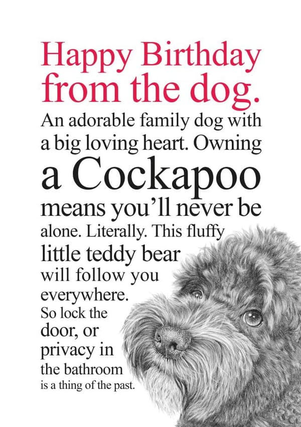 funny, cute birthday card aimed at dog lovers, family, adults