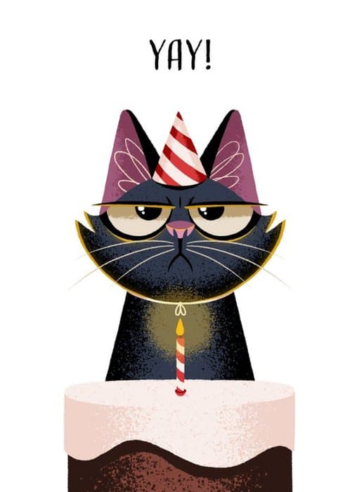 animal, cat birthday card aimed at animal lovers, cat lovers, friends, mom, dad, brother, sister