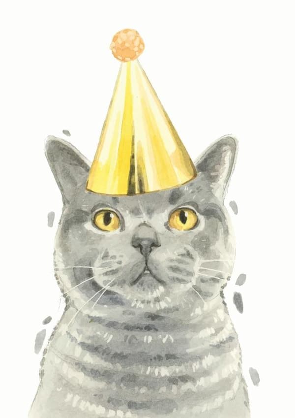 cute, animal birthday card aimed at cat lovers, animals