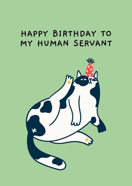 funny, cute birthday card aimed at cat lovers, friends