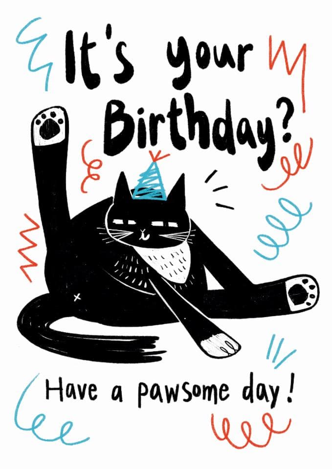 funny, cute, animal birthday card aimed at cat lovers, friends