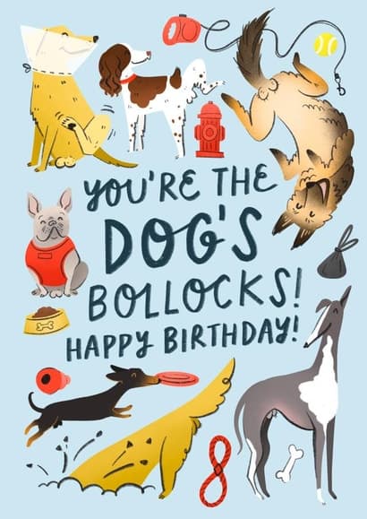 funny, punny birthday card aimed at dog lovers, friends