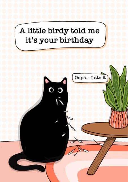 cute, funny birthday card aimed at cat lovers, friends