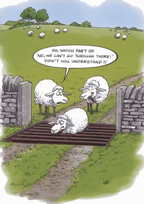 funny, cute, animal birthday card aimed at kids, animal lovers