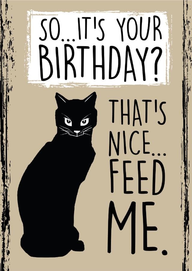 funny, cat birthday card aimed at cat lovers, friends