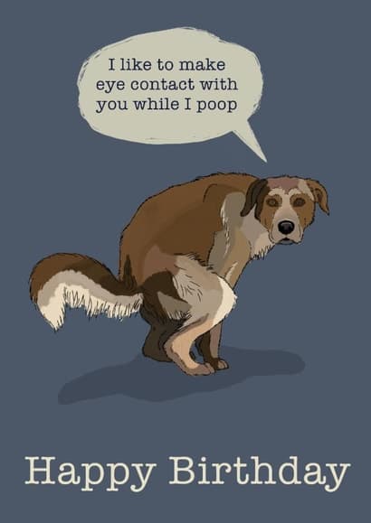 funny, animal birthday card aimed at dog lovers, friends